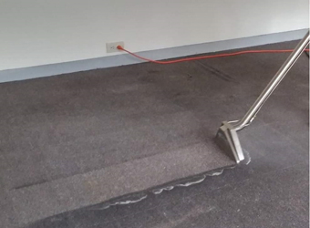 House Carpet cleaning