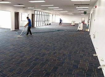 House Carpet cleaning